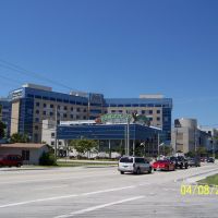 Joe DiMaggio- Memorial Hospital, Голливуд