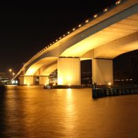 Acosta Bridge at Night, Джексонвилл