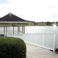 Hendrics Lake, Tampa; FL, Довер