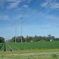 2012, Along Rte 60 - strawberry fields and power lines, Довер