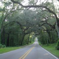 one of the nicest canopy roads in Florida, Fort Dade ave (8-2009), Еглин Аир Форк Бас