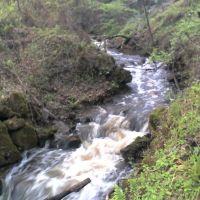 Florida waterfall, a natural phenomenon, drains 17 square miles of Brooksville into a sinkhole, photo taken just after 1.24 inches of rain fell, Peck Swallet, Wiscon (3-29-2010), Енсли