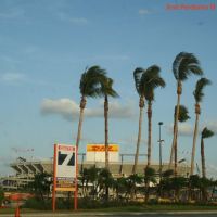 Dolphin Stadium, Miami, Florida, Карол-Сити