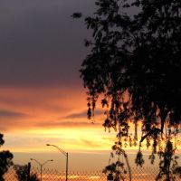 Miami Sunset, Карол-Сити
