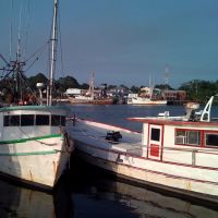 Shrimp Boats, Каррабелл