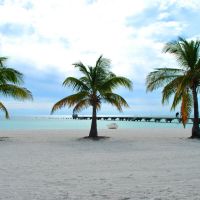 Palmen, weißer Sand und türkisfarbenes Wasser, Key West Florida, Ки-Уэст