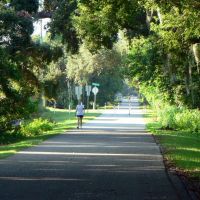 Pinellas Trail Heading South to Clearwater, Клирватер