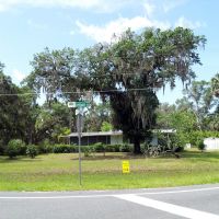 Intersection of Lemon Street and Lake Griffin Road, Lady Lake, FL, Леди-Лейк