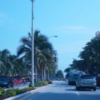 Miami Beach—Washington Avenue, Майами-Бич