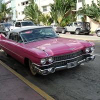 Pink Cadillac, Майами-Бич