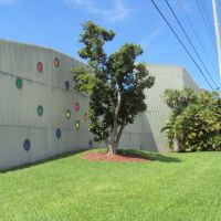 Dotted Wall &Tree, Майами-Спрингс