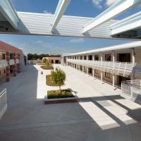 Strawberry Crest High School 1, Dover Florida, Манго