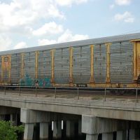 TTX Company/Union Pacific Railroad Autorack No. 982233 at Tampa, FL, Манго