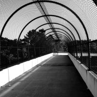 Suncoast Bikeway Bridge, Мангониа-Парк