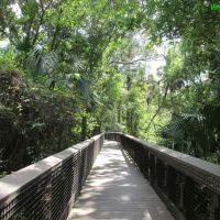 Perfect Afternoon @ Fern Forest Coconut Creek, FL USA, Маргейт