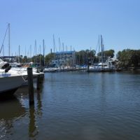 Melbourne Harbor Marina, Мельбурн