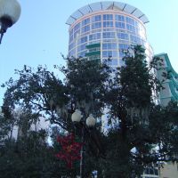 The Waverly Building off E Central Blvd by Lake Eola, Орландо
