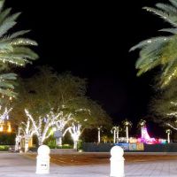 DSC09831 West Palm Beach at Night, Палм-Бич