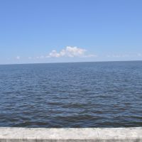 Lake Ockeechobee, Palm Beach,  Florida, Пахоки