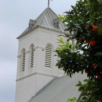 Orange tree behind historic Old Christ Church, Пенсакола