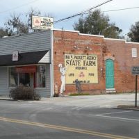 Ina B. Padgett Agency - State Farm - Perry, Florida, Перри