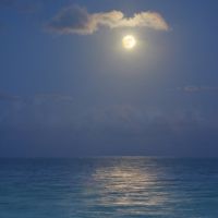 Moon at the beach, Санни-Айлс