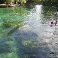 Wekiwa Springs State Park (07/2012), Саут-Апопка