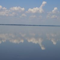 Lake Apopka, Саут-Апопка