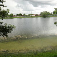 Miami Pequeño Lago En Zona Recidencial, Тамайами