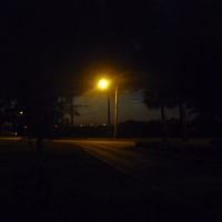 Night Lamp, Тамарак