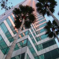 looking toward the sky, BofA building, Tampa (2-2009), Тампа
