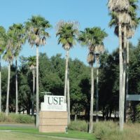 The University of South Florida - outubro de 2010., Темпл-Террас
