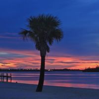 palm tree sunset, Форт-Пирс