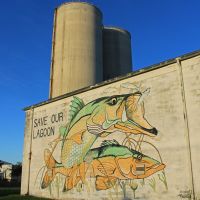 snook mural-save our lagoon, Форт-Пирс