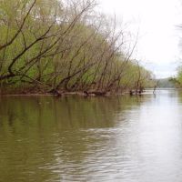Island side channel -The old channel of Sandy Run Creek, Вест-Колумбиа