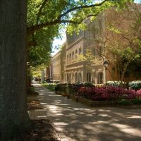 The University of South Carolinas Horseshoe, Колумбиа