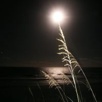 Moon over the ocean near Myrtle Beach, S.C., Хемингуэй