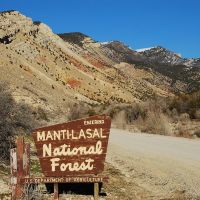 Manti-LaSal NF boundary sign at Manti Canyon, Вест-Джордан