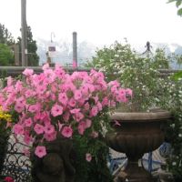 Lovely Flowers, Sandy, Salt Lake City, Гранит-Парк