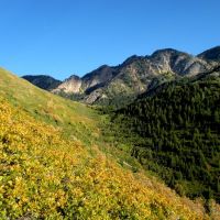 Neffs/Millcreek Canyon Ridge, Wasatch Mountains, Utah., Маунт-Олимпус