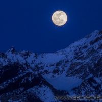 full moon over twin peaks, Мидвейл