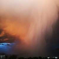 Salt Lake rainstorm, Муррей