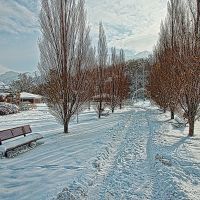 Winter Walk, Огден