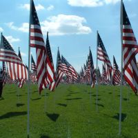 Flags 9-11, Санди