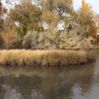 Panorama Duck Pond, Саут-Солт-Лейк