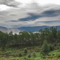Parque Nacional Cairngorms, Авимор
