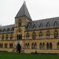 Oxford University Museum of Natural History, Оксфорд
