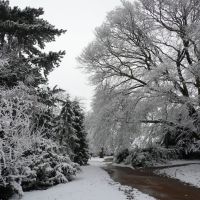 Albert park - snow, Абингдон