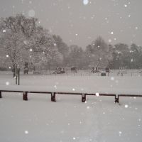 Snow in Aldershot Park, Алдершот