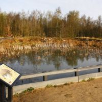 New Wildlife Pond, Аштон-ин-Макерфилд
